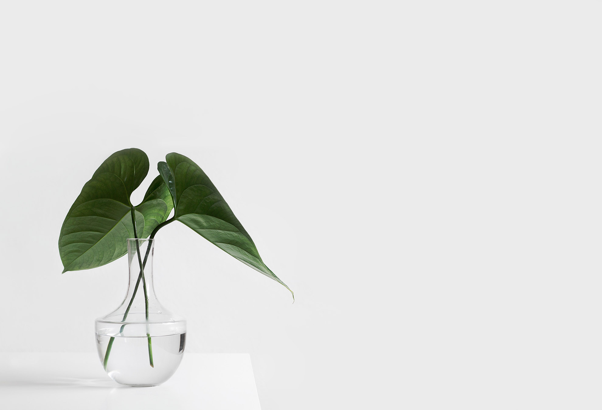 Zen
